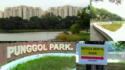 The Rivervale (D19), Condominium #129111652